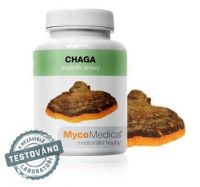 Chaga