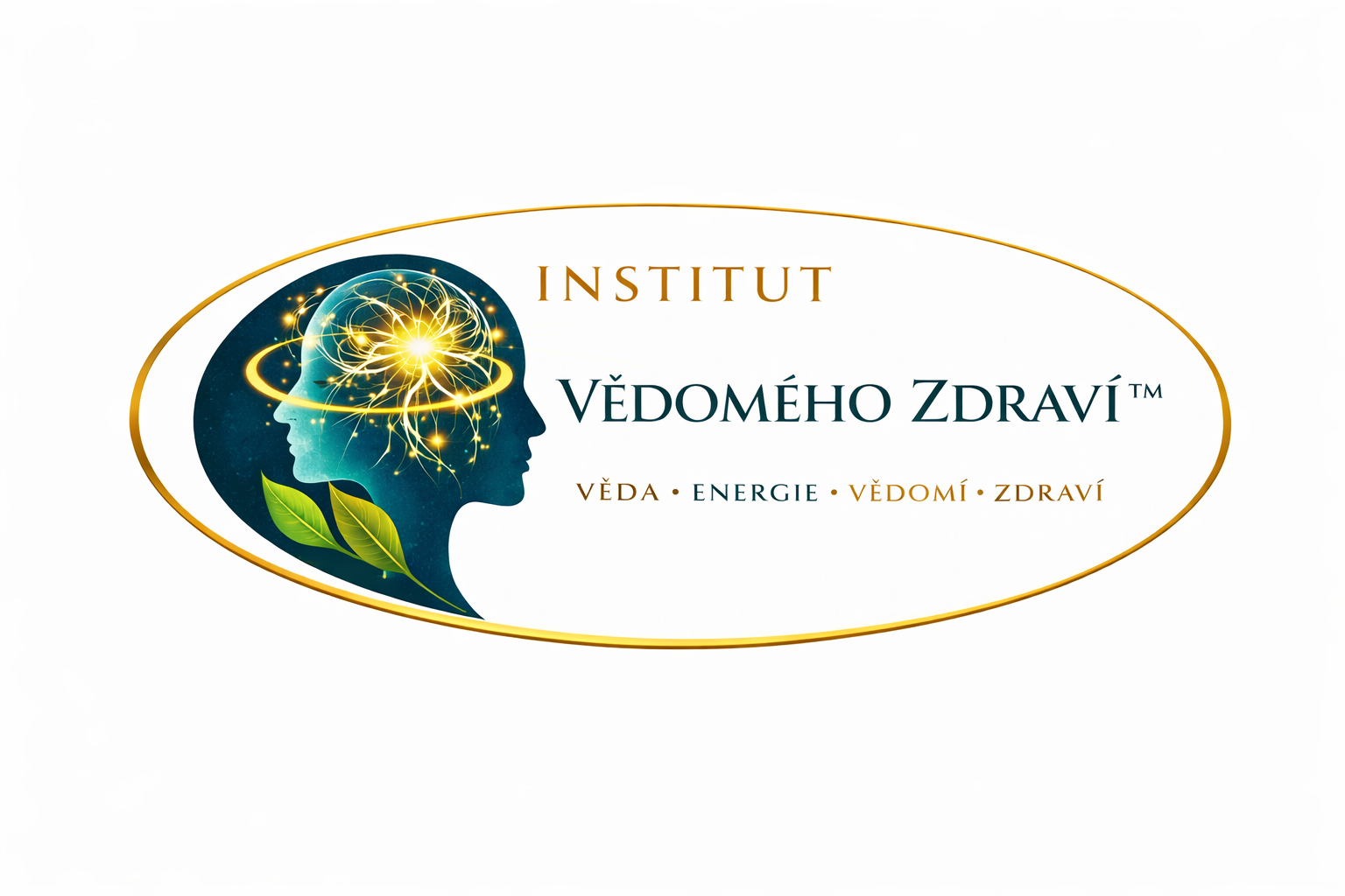 Institut vědomého zdraví